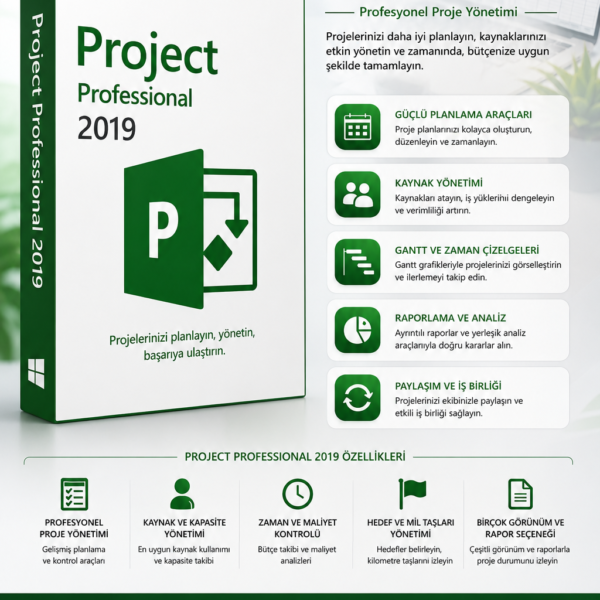 Project Professional 2019