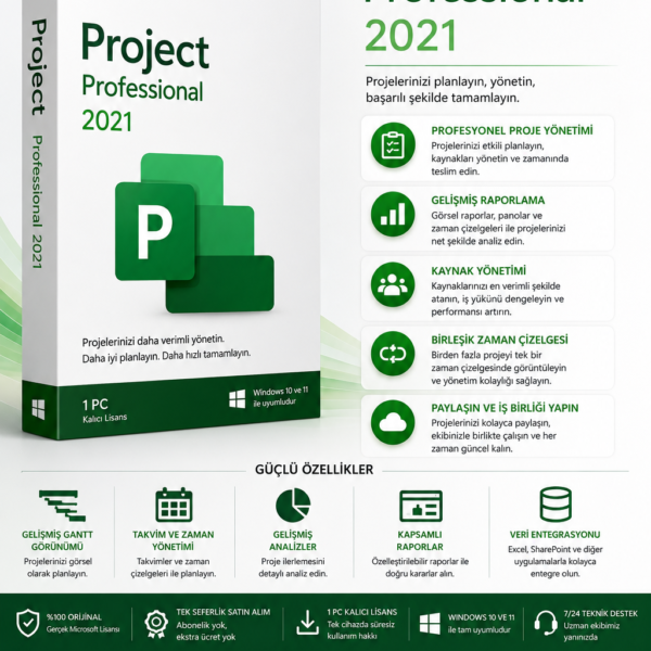 Project Professional 2021