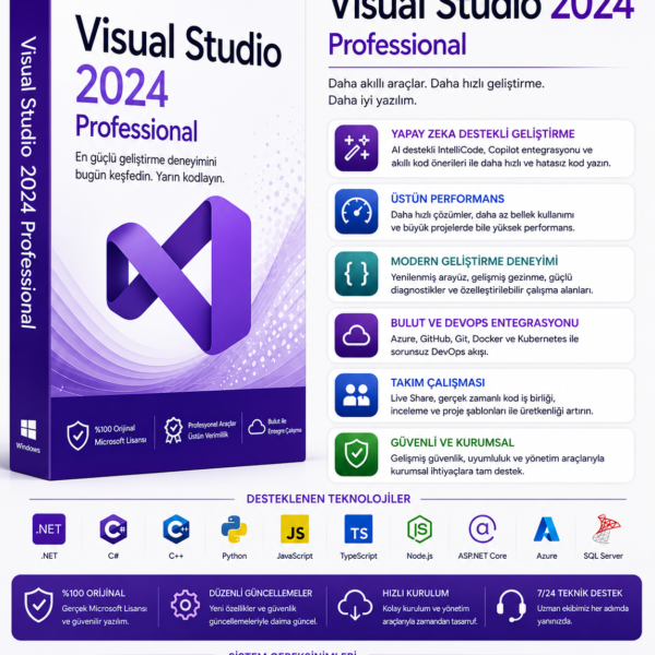 Visio 2024 Standard 1PC [E maile Kayıt]