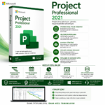 Project Professional 2021