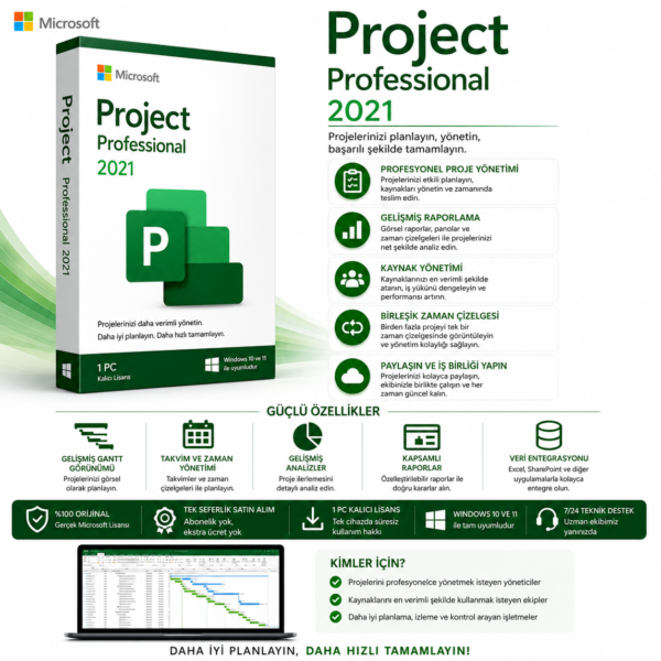 Project Professional 2021