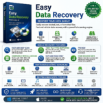 EaseUS Data Recovery Wizard Pro 2026 (Windows) - 1 PC